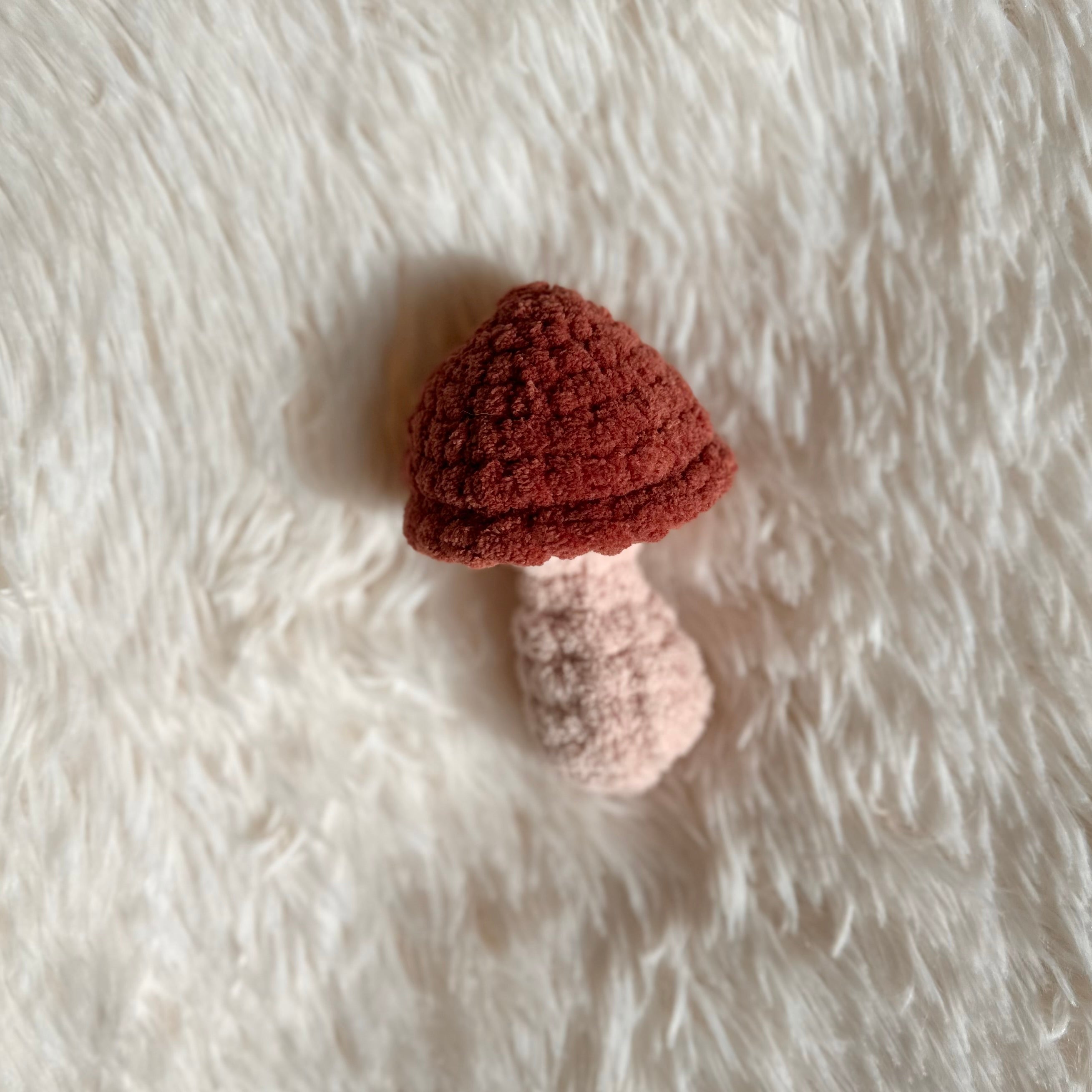 Small Mushroom | Mushroom Plushie | Crochet Mushie | Whimsical